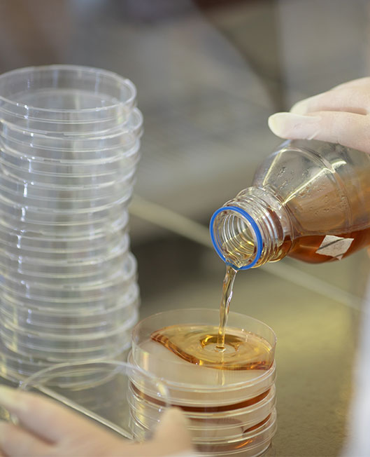 Marwian Services Microbiology